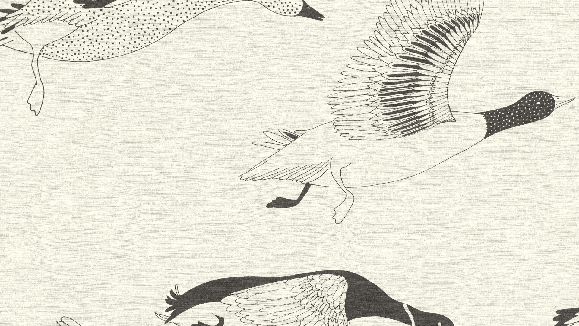 גליל טפט ראש 530704