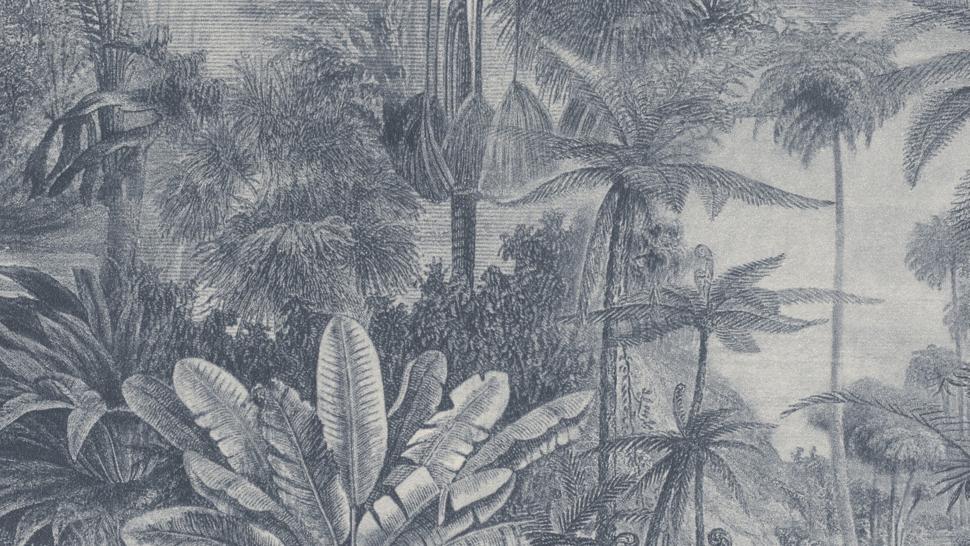 גליל טפט ראש 551181