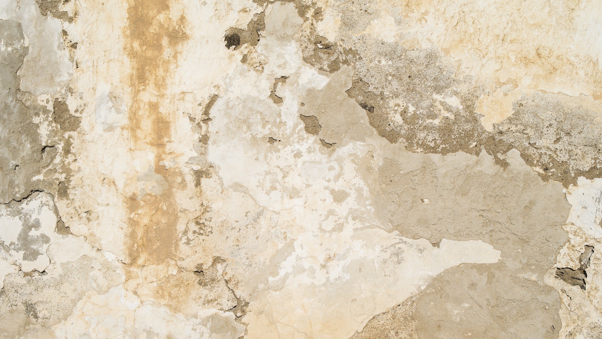 טפט תמונה 101133