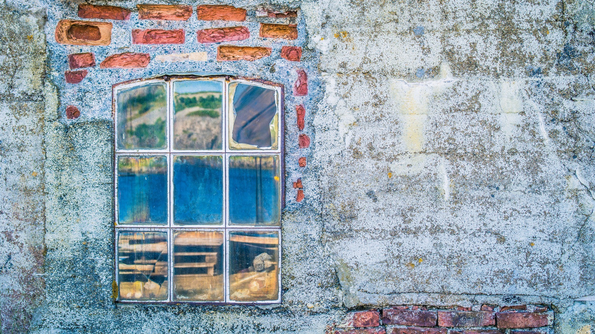 טפט תמונה 101058