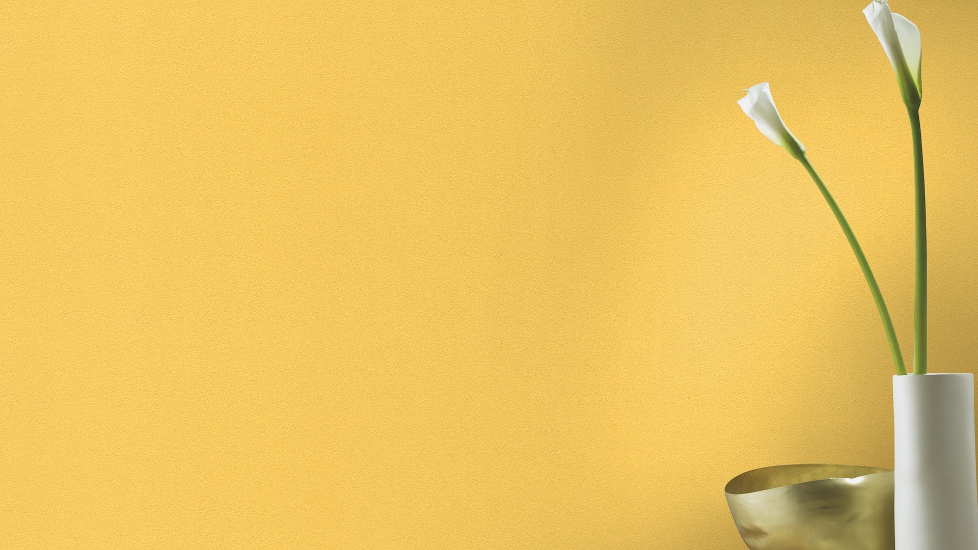 גליל טפט ראש 489514