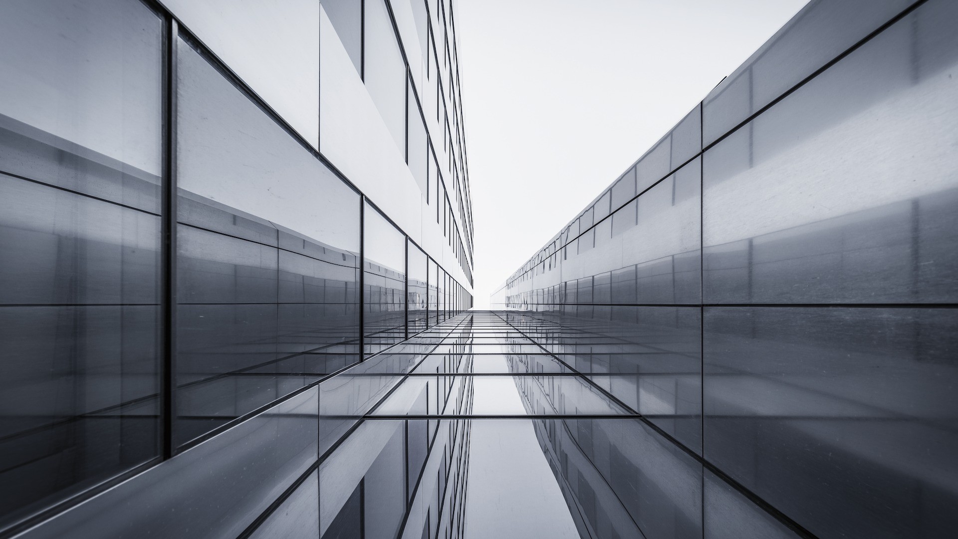 טפט תמונה 101201