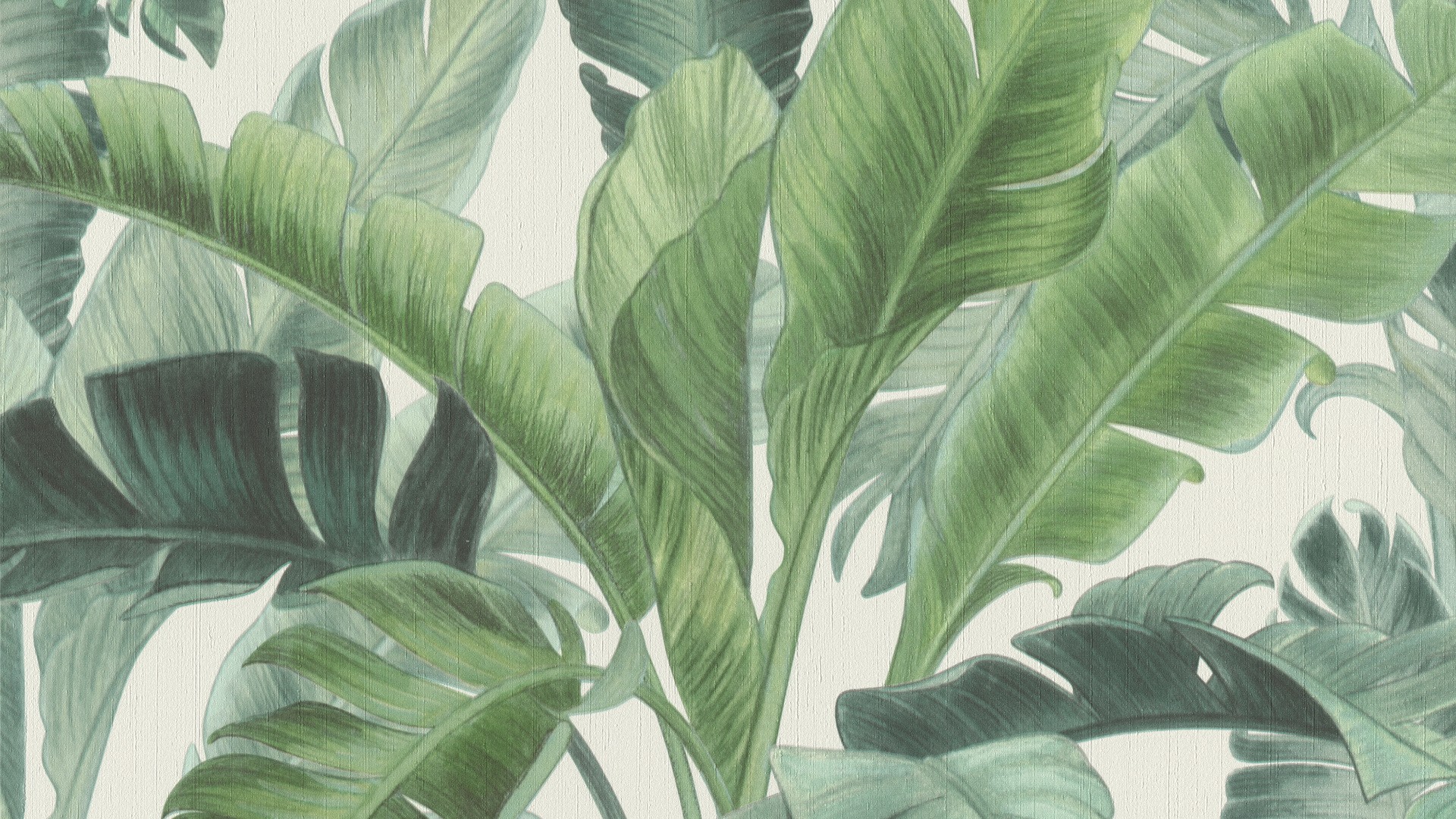 גליל טפט ראש 536683