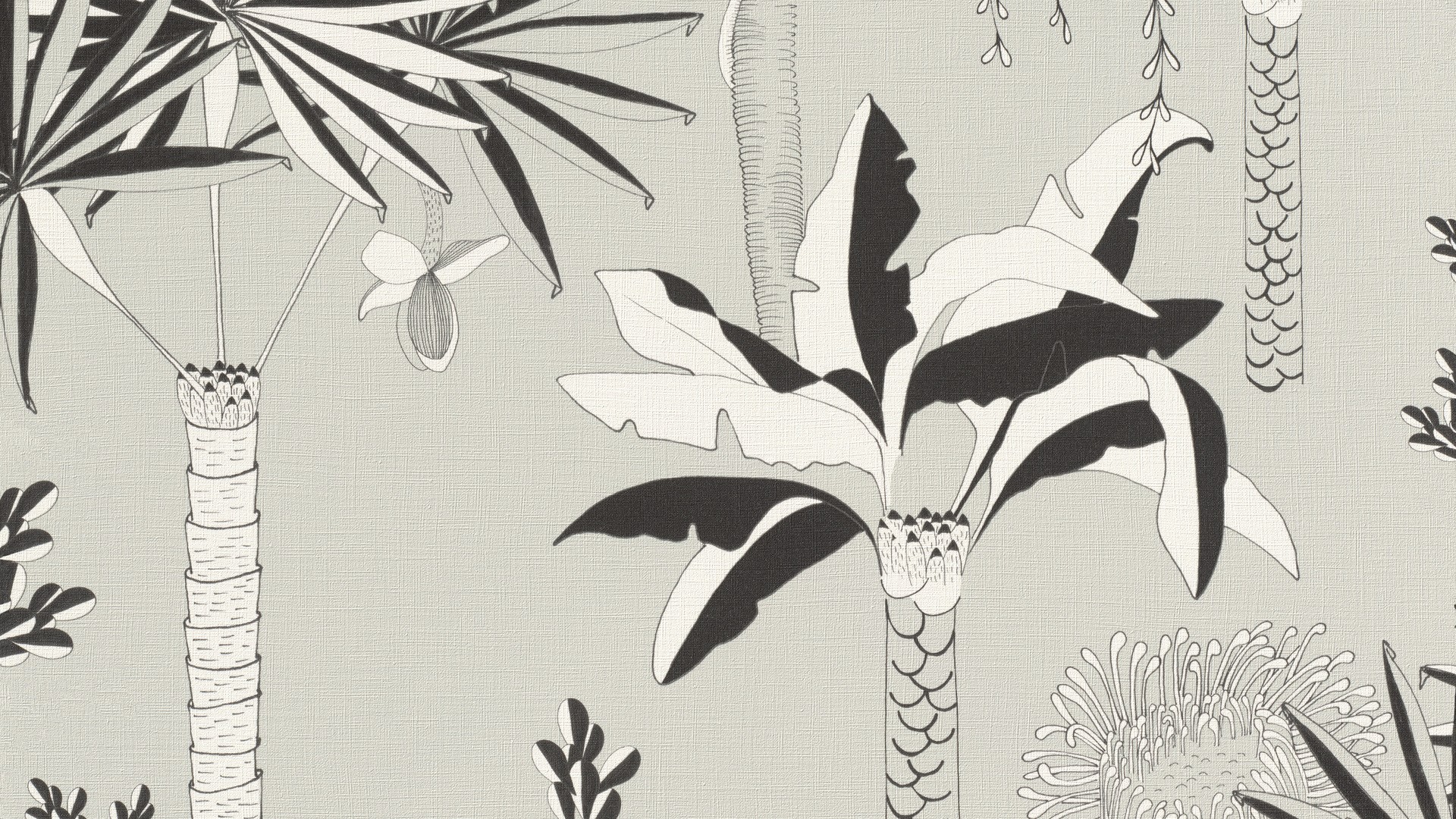 גליל טפט ראש 540048