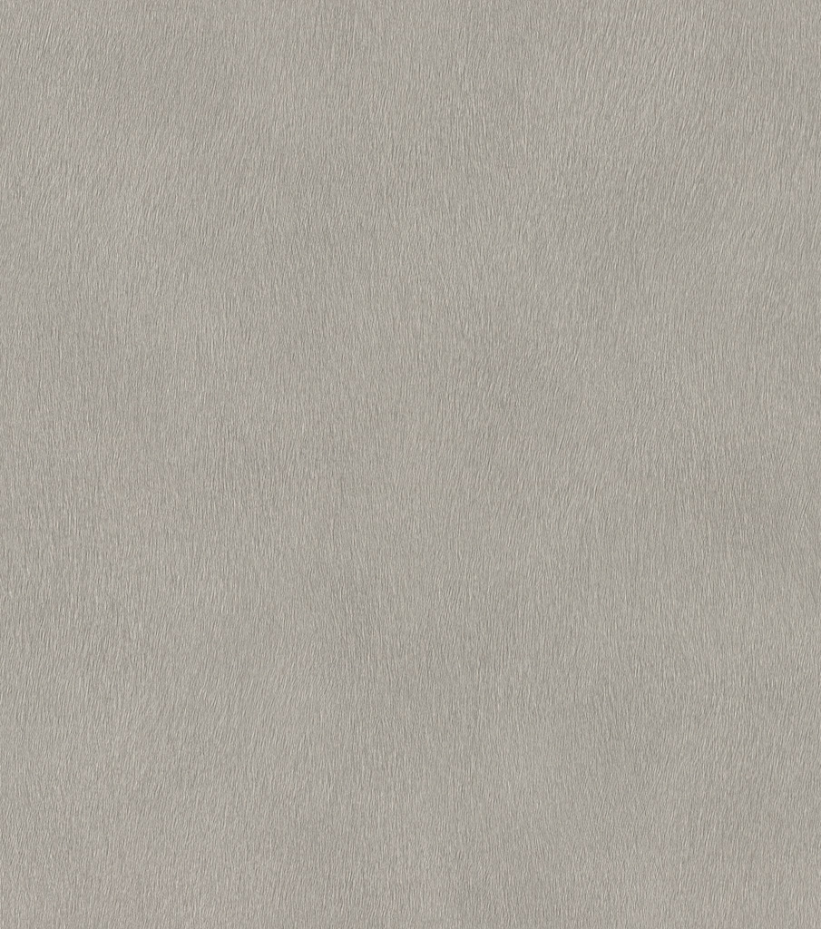 גליל טפט ראש 751062