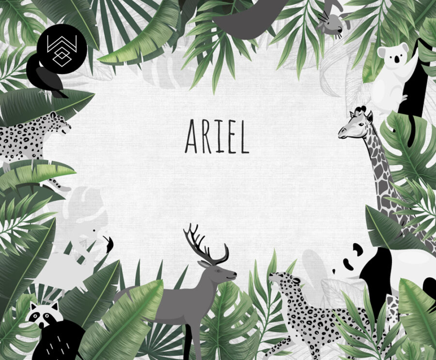 טפט ג’ונגל בלאגן 2