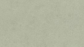 גליל טפט ראש 408171