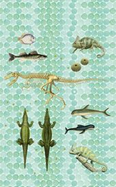 טפט סיפורי ילדים Reptiles