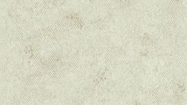 גליל טפט ראש 550658