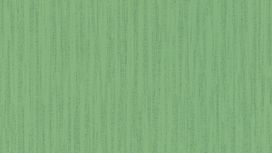 גליל טפט ראש 535297