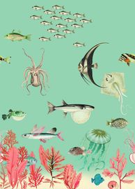 טפט סיפורי ילדים Sea life light blue