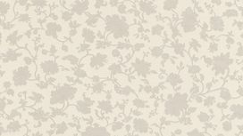 גליל טפט ראש 532449