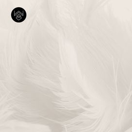 טפט סטורי וייב 5