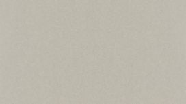 גליל טפט ראש 501179