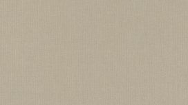 גליל טפט ראש 423921