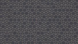 גליל טפט ראש 550375