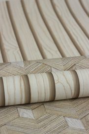 גליל טפט ראש 466201