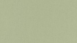 גליל טפט ראש 423938