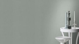 גליל טפט ראש 449822