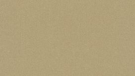 גליל טפט ראש 441659