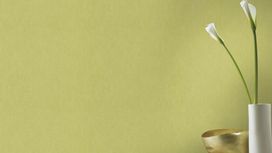 גליל טפט ראש 247459