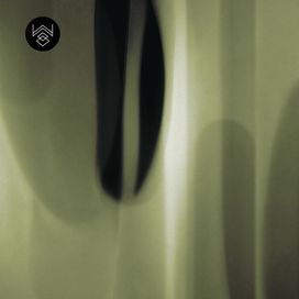 טפט סטיילינג פייד 3