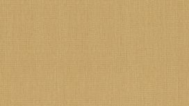 גליל טפט ראש 528558