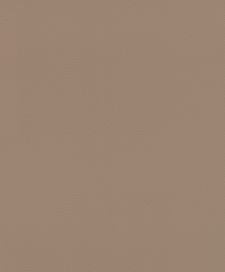 גליל טפט ראש 752724