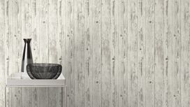 גליל טפט ראש 427301