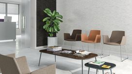 גליל טפט ראש 834130