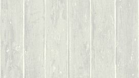 גליל טפט ראש 809237