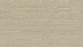 גליל טפט ראש 528824