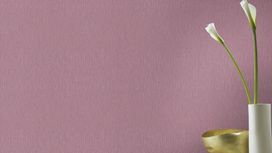 גליל טפט ראש 532869