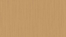 גליל טפט ראש 535358