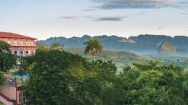 טפט תמונה 101140