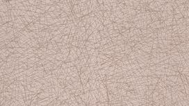 גליל טפט ראש 541359