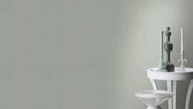 גליל טפט ראש 474930