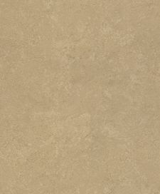 גליל טפט ראש 315196