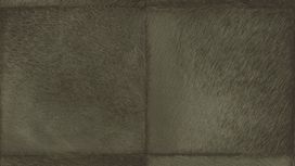 גליל טפט ראש 419146