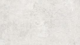 גליל טפט ראש 282405