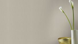 גליל טפט ראש 501179