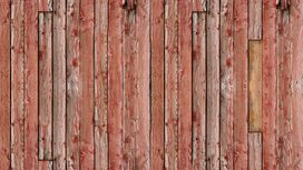 טפט תמונה 100372