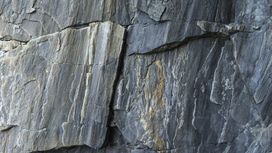 טפט תמונה 100358