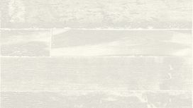 גליל טפט ראש 488715