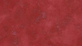 גליל טפט ראש 417067