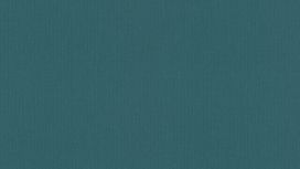 גליל טפט ראש 542462