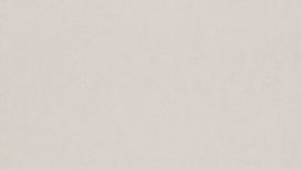 גליל טפט ראש 247411