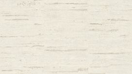 גליל טפט ראש 426700