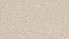 גליל טפט ראש 469004