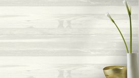 גליל טפט ראש 488715